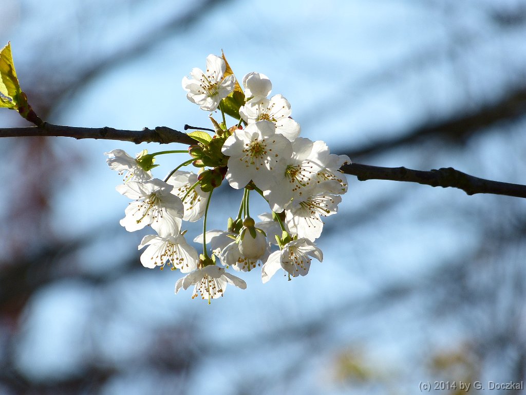 20140329-100542-4