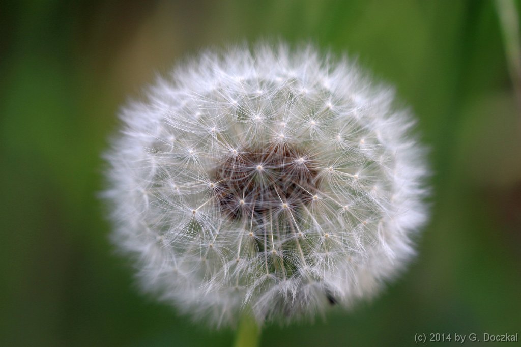 20140420-100151-2