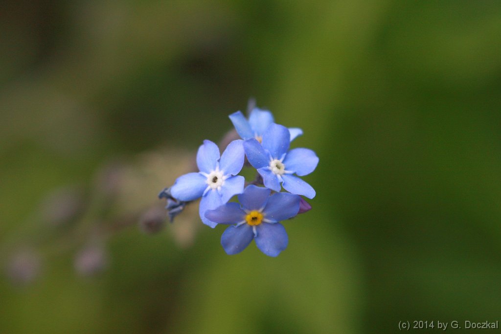 20140420-100926-28