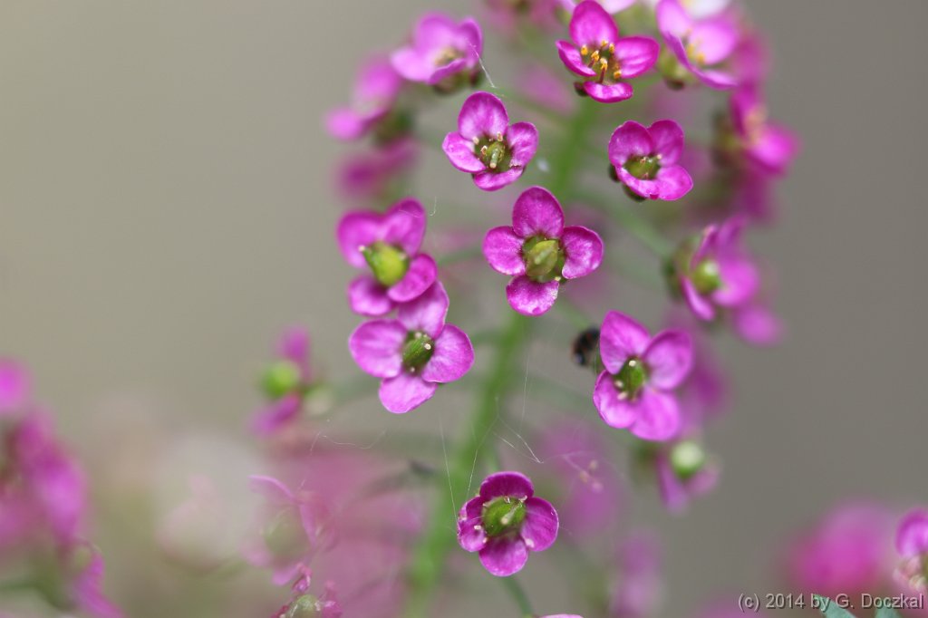 20140601-115453-1