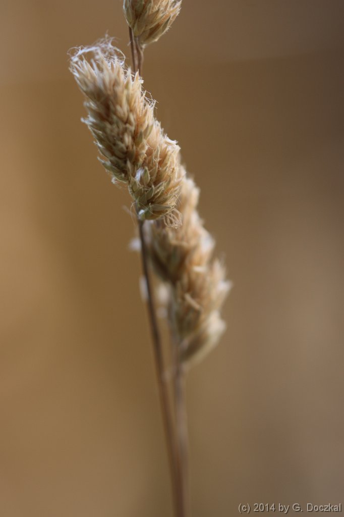 20140619-105651-11