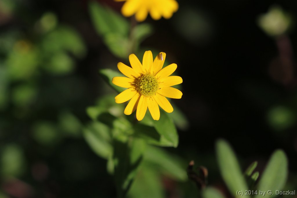 20141019-115941-7