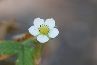 20140601-124944-16