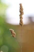 20140619-104916-5