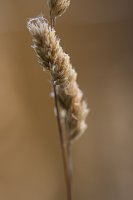 20140619-105651-11