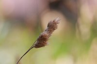 20140619-110718-18