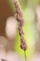 20140619-110741-21