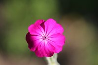 20140706-100945-5