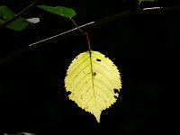 20140719-121755-2