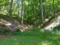 20140719-123253-4