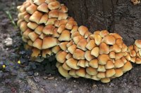 20140910-154420-4