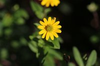 20141019-115941-7
