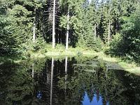  (C) 2005 by G. Doczkal, 
Teich bei der Melkenteichhütte, 
Tour zum Lotharpfad, 
Schwarzwald bei Schweinkopf, Baden-Württemberg, Germany