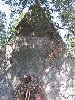  (C) 2005 by G. Doczkal, 
Gedenkstein am Schliffkopf, 
Tour zum Lotharpfad, 
Schwarzwald bei Schliffkopf, Baden-Württemberg, Germany