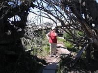 (C) 2005 by G. Doczkal, 
Eindrücke vom Lotharpfad, 
Tour zum Lotharpfad, 
Schwarzwald bei Lotharpfad, Baden-Württemberg, Germany