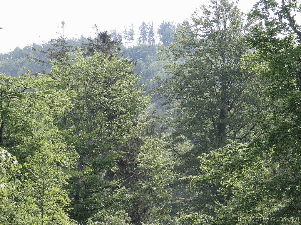 20060515-113358-4