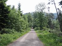  (C) 2006 by G. Doczkal, 
Blick vom Wasen zum Tannschachberg, 
Trainingsstrecke, 
Wasen, Baden-Württemberg, Germany
