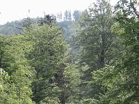 (C) 2006 by G. Doczkal, 
Blick vom Wasen zum Tannschachberg, 
Trainingsstrecke, 
Wasen, Baden-Württemberg, Germany