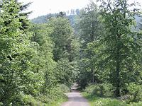  (C) 2006 by G. Doczkal, 
Blick vom Wasen zum Tannschachberg, 
Trainingsstrecke, 
Wasen, Baden-Württemberg, Germany