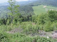  (C) 2006 by G. Doczkal, 
Blick auf den Wasen, 
Trainingsstrecke, 
Tannschachberg, Baden-Württemberg, Germany