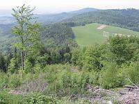  (C) 2006 by G. Doczkal, 
Blick auf den Wasen, 
Trainingsstrecke, 
Tannschachberg, Baden-Württemberg, Germany