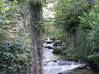  (C) 2007 by G. Doczkal, 
Dorfbach in Bühlertal, 
Büchelbachrundweg, 
Bühlertal, Baden-Württemberg, Germany