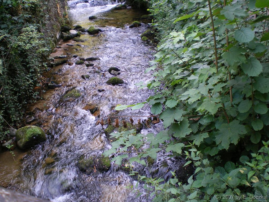 IMGP0606
