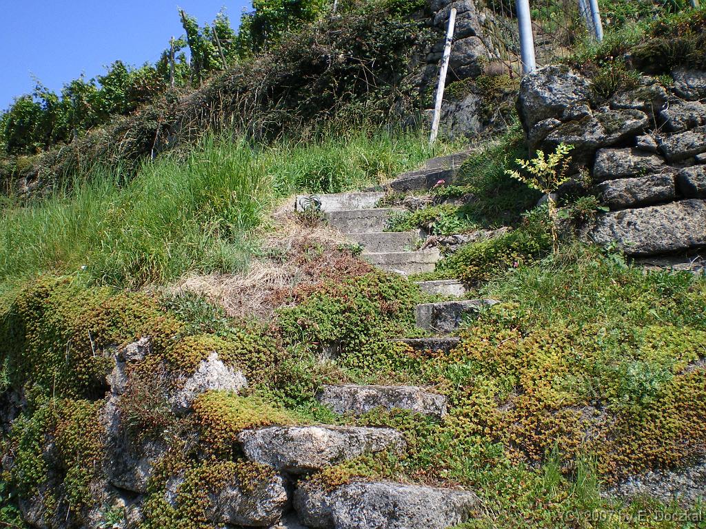 IMGP0615