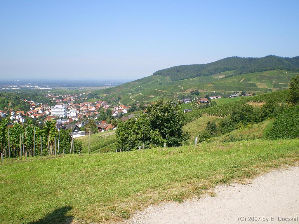 IMGP0620