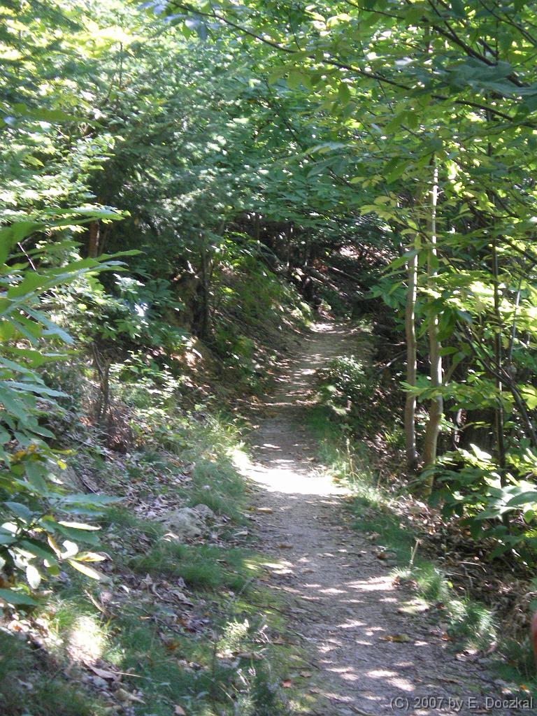 IMGP0632
