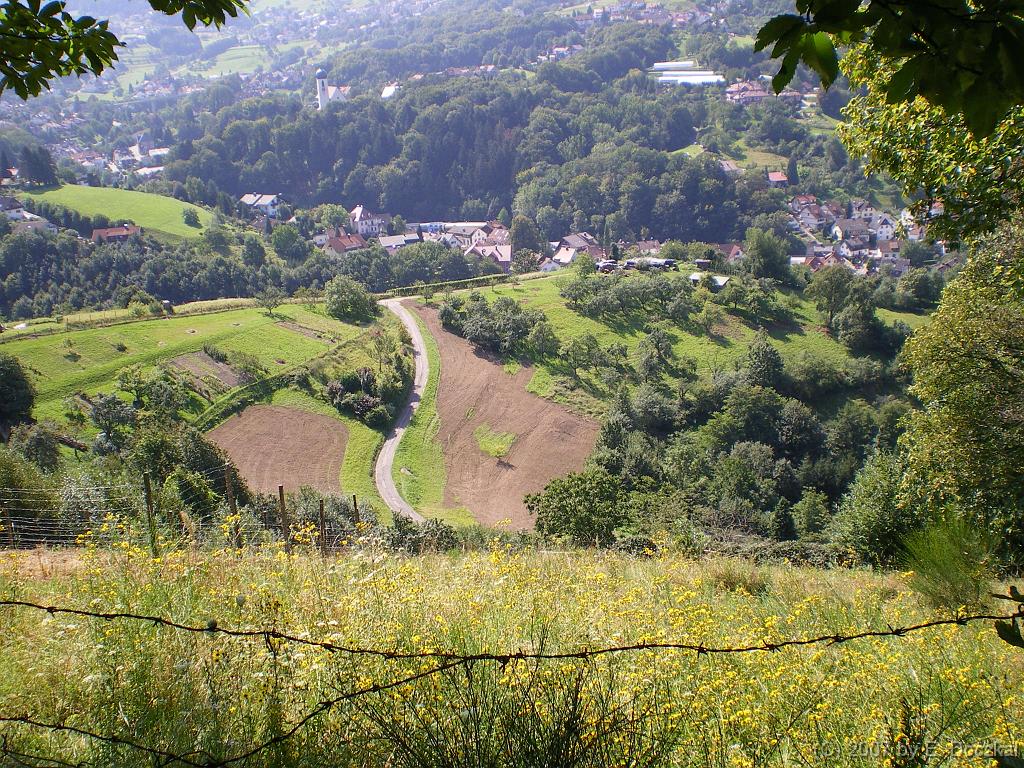 IMGP0633
