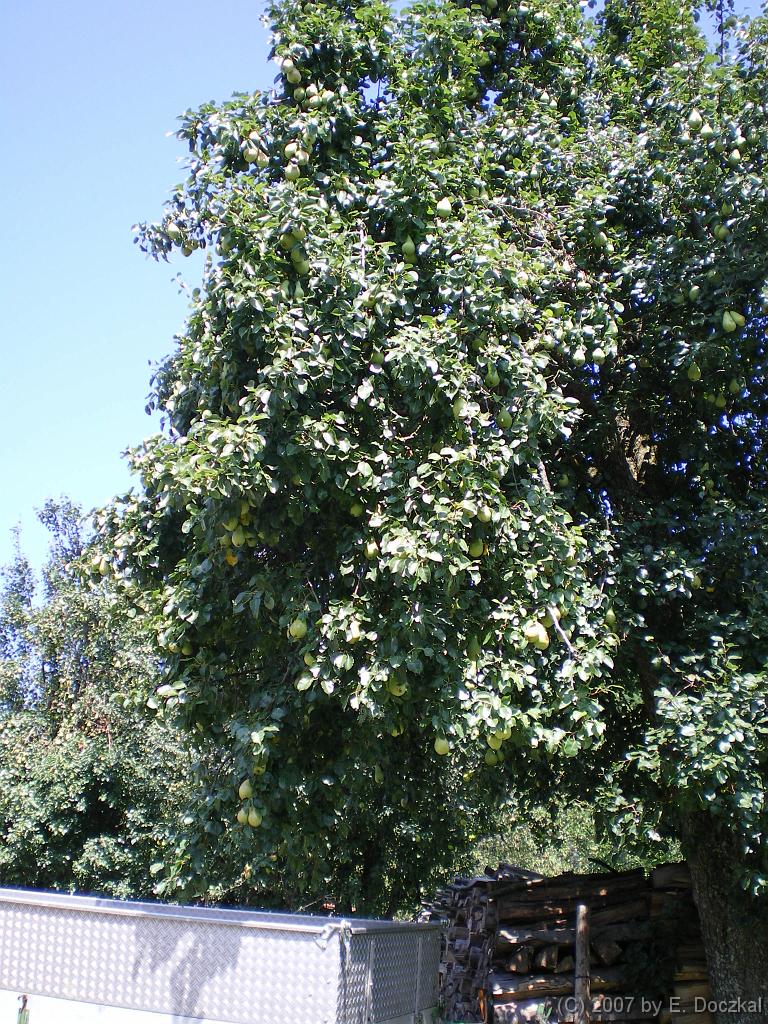 IMGP0639