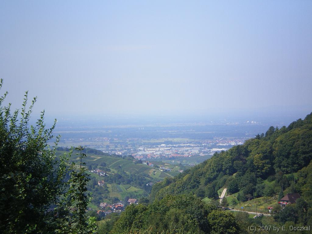 IMGP0646