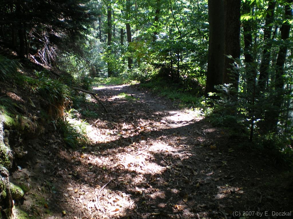 IMGP0652