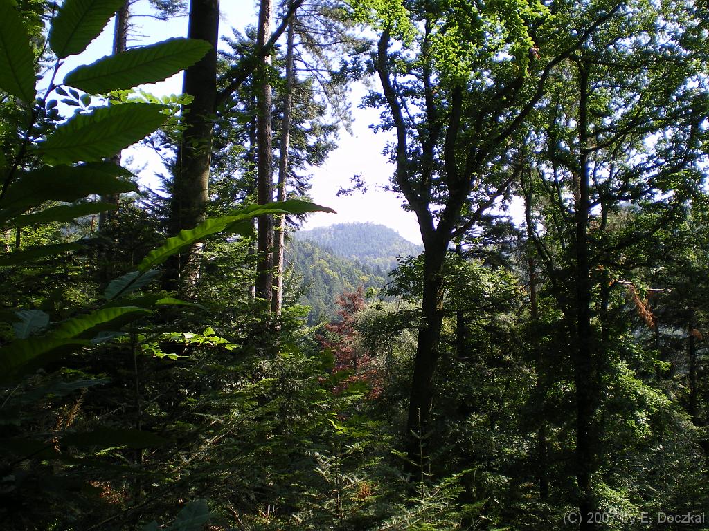 IMGP0653