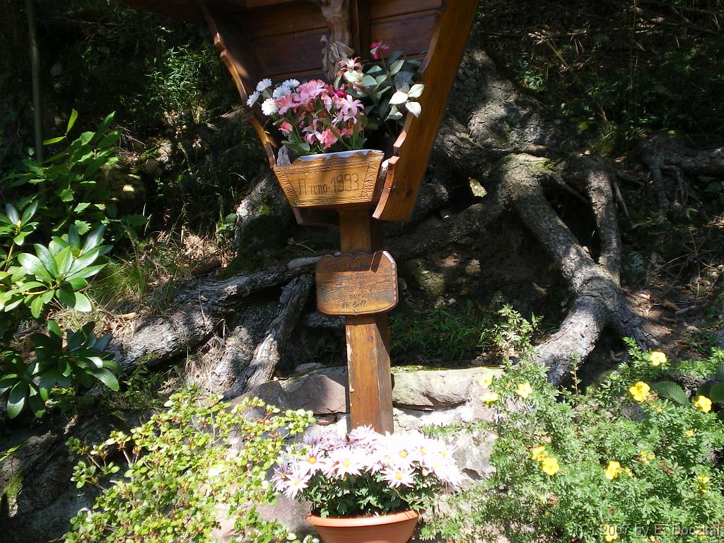 IMGP0657