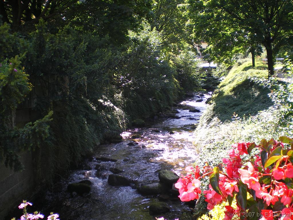 IMGP0659