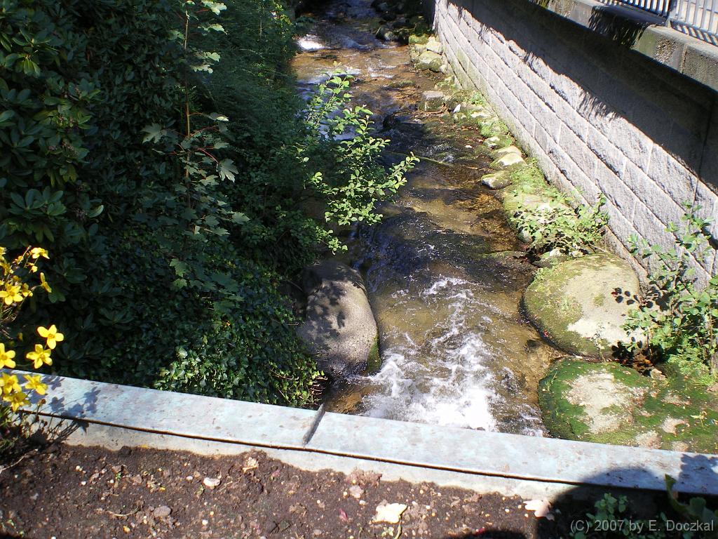 IMGP0660