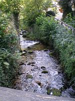  (C) 2007 by E. Doczkal, 
Dorfbach, 
Büchelbachrundweg, 
Bühlertal, Baden-Württemberg, Germany