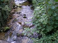  (C) 2007 by E. Doczkal, 
Dorfbach, 
Büchelbachrundweg, 
Bühlertal, Baden-Württemberg, Germany