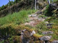  (C) 2007 by E. Doczkal, 
Treppen in den Weinbergen, 
Büchelbachrundweg, 
Bühlertal, Baden-Württemberg, Germany
