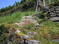  (C) 2007 by E. Doczkal, 
Treppen in den Weinbergen, 
Büchelbachrundweg, 
Bühlertal, Baden-Württemberg, Germany