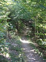  (C) 2007 by E. Doczkal, 
Unser Weg, 
Büchelbachrundweg, 
Bühlertal, Baden-Württemberg, Germany