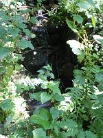  (C) 2007 by E. Doczkal, 
Quelle, 
Büchelbachrundweg, 
Bühlertal, Baden-Württemberg, Germany