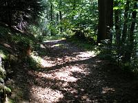  (C) 2007 by E. Doczkal, 
Unser Weg, 
Büchelbachrundweg, 
Bühlertal, Baden-Württemberg, Germany