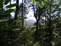  (C) 2007 by E. Doczkal, 
Herrlicher Wald, 
Büchelbachrundweg, 
Bühlertal, Baden-Württemberg, Germany