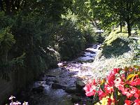  (C) 2007 by E. Doczkal, 
Dorfbach, 
Büchelbachrundweg, 
Bühlertal, Baden-Württemberg, Germany