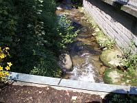  (C) 2007 by E. Doczkal, 
Dorfbach, 
Büchelbachrundweg, 
Bühlertal, Baden-Württemberg, Germany