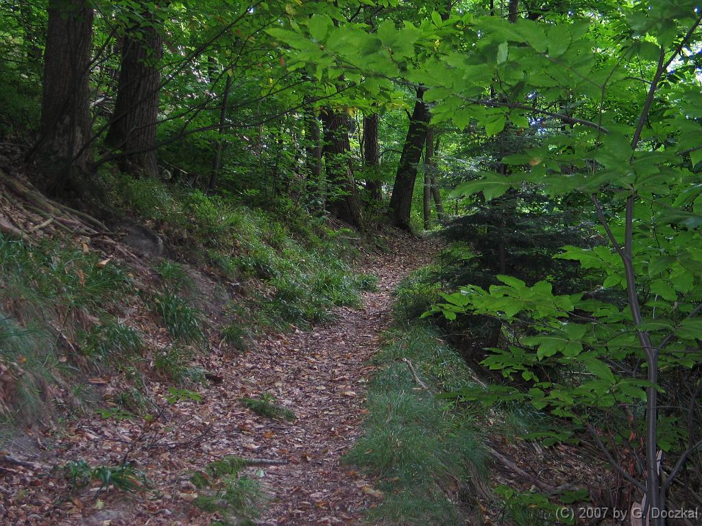 20070901-154956-13