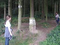  (C) 2007 by G. Doczkal, 
Geht es wirklich da rauf, 
Neuweier, Baden-Württemberg, Germany